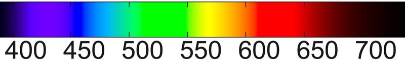 Bio optical intro image 1