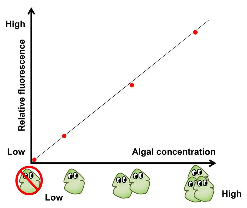 Fluorescence - graph
